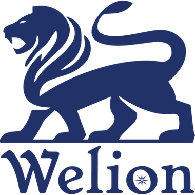 کارایی اینورتر مبدل های برق خودرو WELION